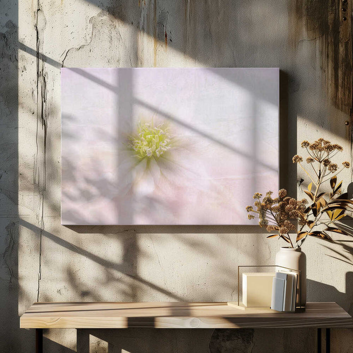 Elegant Pastel Bloom - Stretched Canvas Poster or Fine Art Print