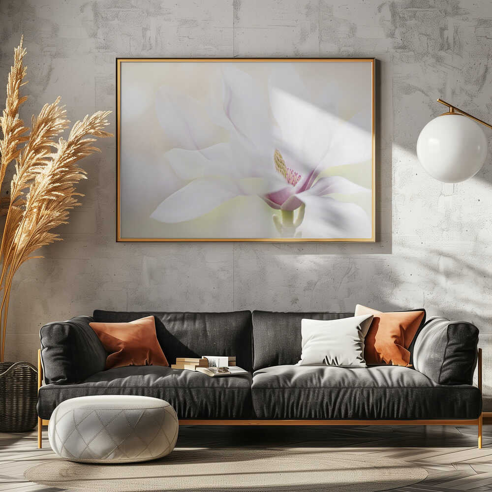 Elegant White Magnolia - Floral Photographic Stretched Canvas Poster or Fine Art Print