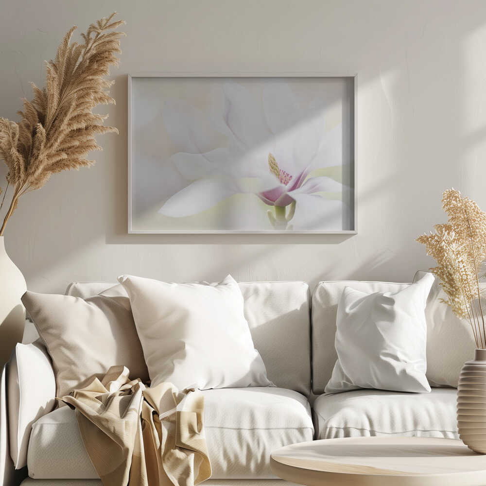 Elegant White Magnolia - Floral Photographic Stretched Canvas Poster or Fine Art Print