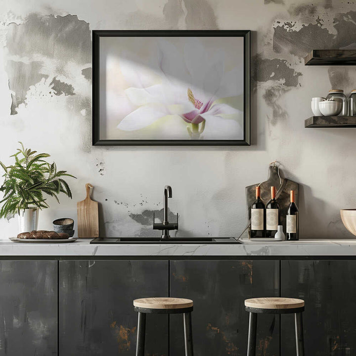 Elegant White Magnolia - Floral Photographic Stretched Canvas Poster or Fine Art Print