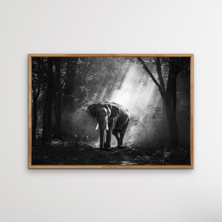 Elephant In The Wild- Black and White Elephant Landscape Framed Canvas Print Wall Art Print I Heart Wall Art Australia 