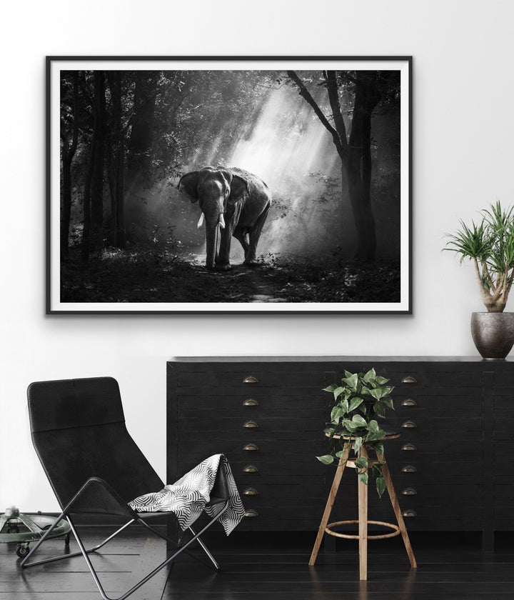 Elephant In The Wild- Black and White Elephant Landscape Framed Canvas Print Wall Art Print I Heart Wall Art Australia 