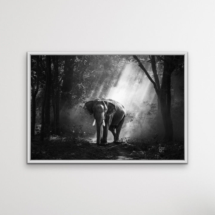 Elephant In The Wild- Black and White Elephant Landscape Framed Canvas Print Wall Art Print I Heart Wall Art Australia 