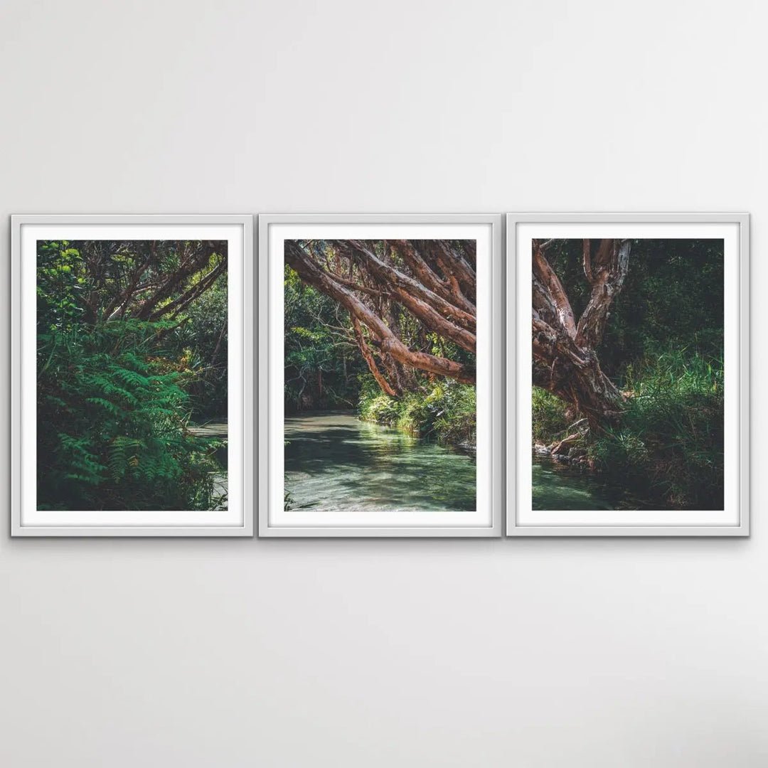 Eli Creek - Three Piece Australian Landscape (Fraser Island Queensland) Print Set Triptych - I Heart Wall Art