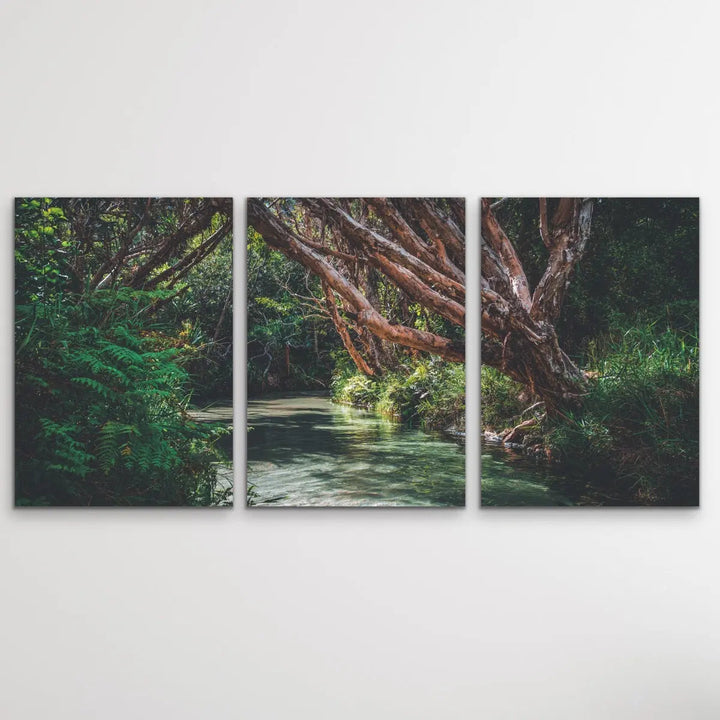Eli Creek - Three Piece Australian Landscape (Fraser Island Queensland) Print Set Triptych - I Heart Wall Art