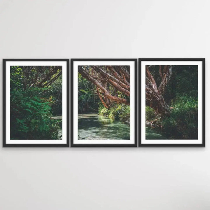 Eli Creek - Three Piece Australian Landscape (Fraser Island Queensland) Print Set Triptych - I Heart Wall Art - Poster Print, Canvas Print or Framed Art Print