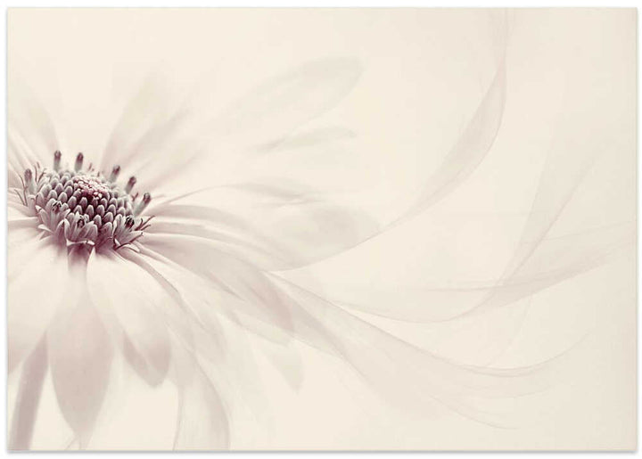 Endless - Floral Photographic Stretched Canvas Poster or Fine Art Print