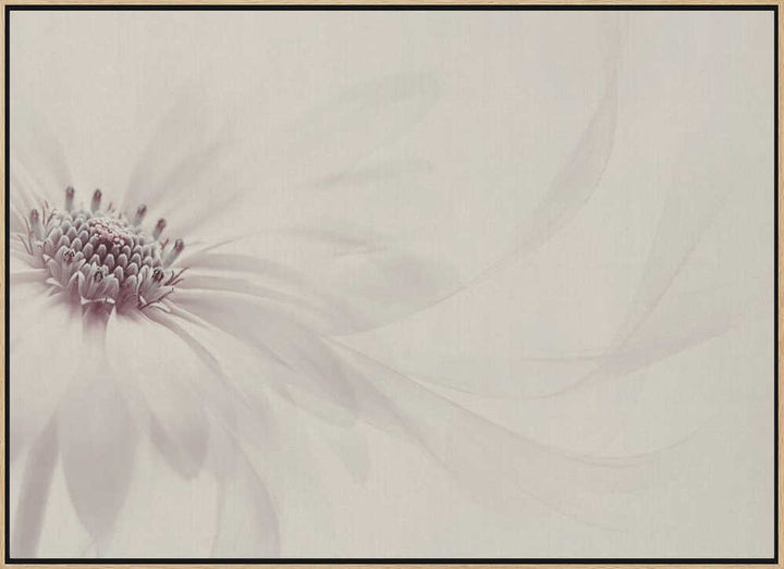 Endless - Floral Photographic Stretched Canvas Poster or Fine Art Print