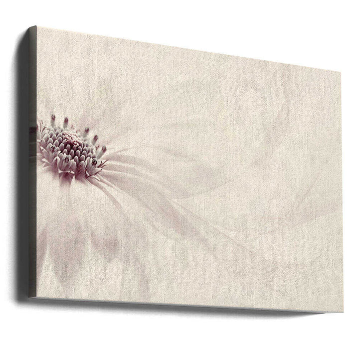 Endless - Floral Photographic Stretched Canvas Poster or Fine Art Print