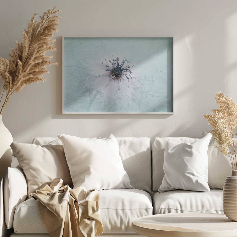 Ethereal Aqua Flower - Floral Photographic Stretched Canvas Poster or Fine Art Print