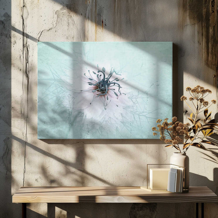 Ethereal Aqua Flower - Floral Photographic Stretched Canvas Poster or Fine Art Print