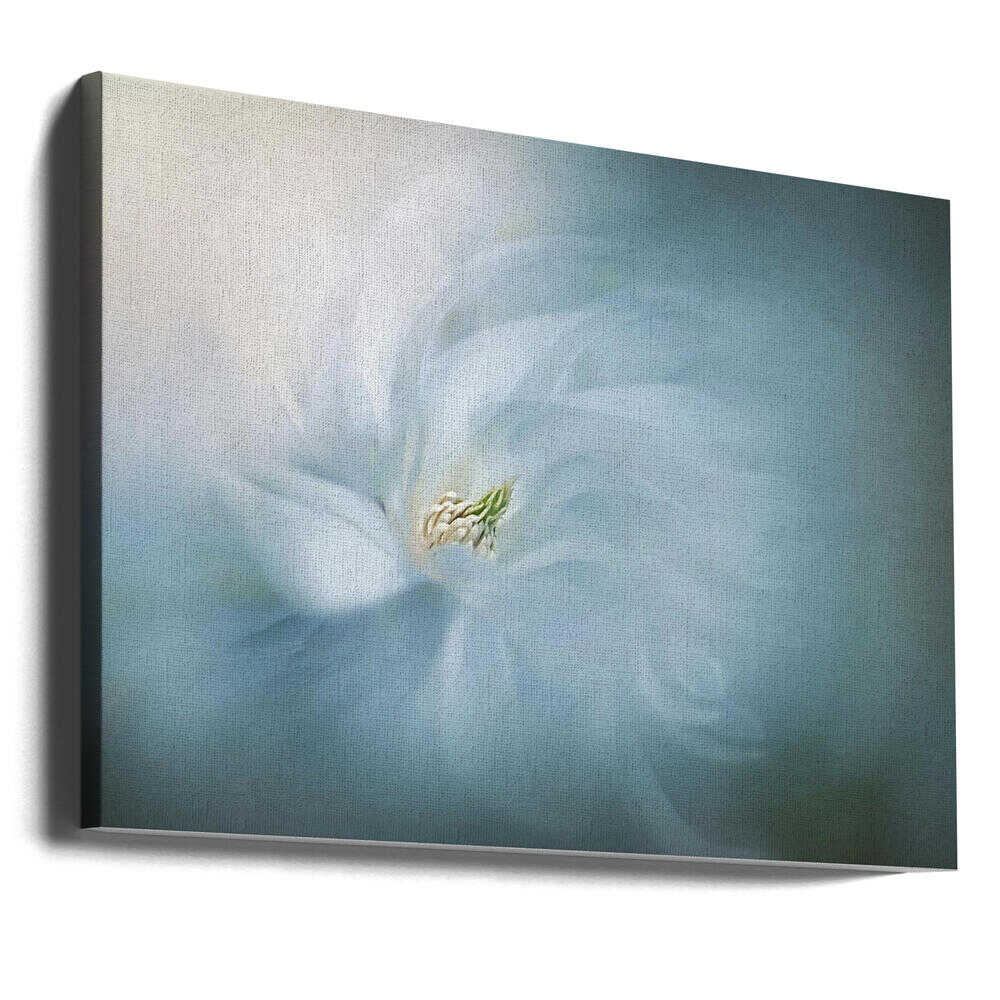 Ethereal Blue Bloom - Floral Photographic Stretched Canvas Poster or Fine Art Print