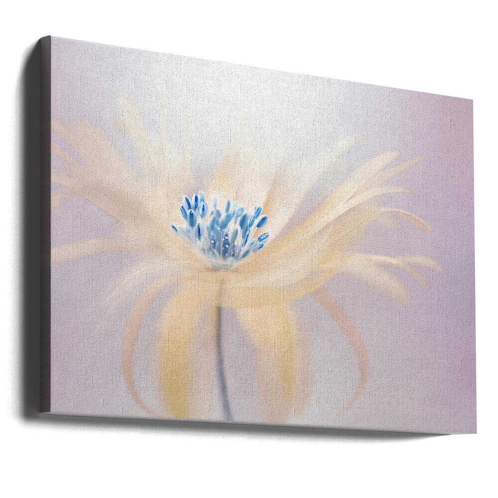 Ethereal Blue Bloom - Floral Photographic Stretched Canvas Poster or Fine Art Print