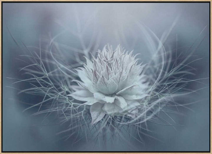 Ethereal Blue Bloom - Stretched Canvas Poster or Fine Art Print