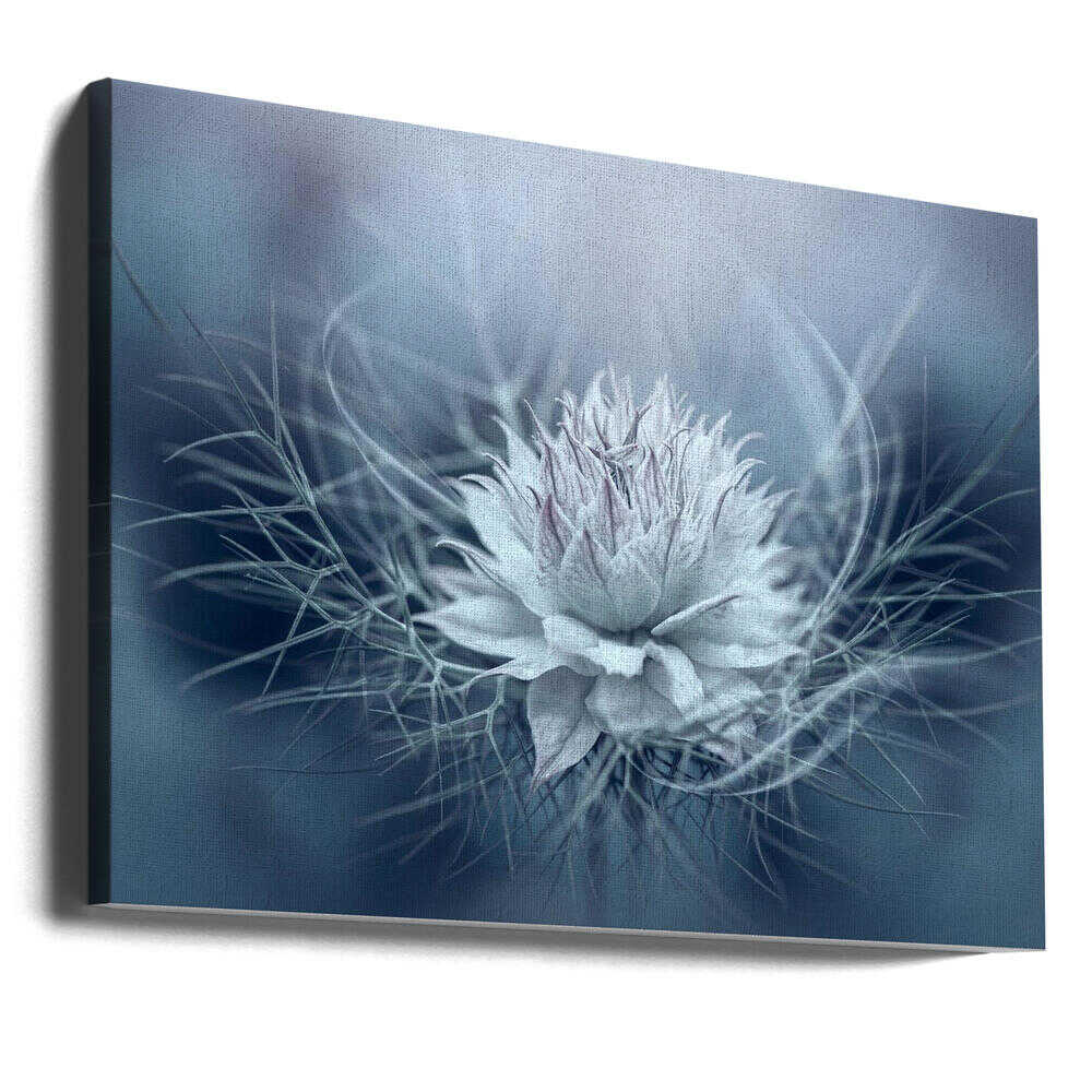 Ethereal Blue Bloom - Stretched Canvas Poster or Fine Art Print