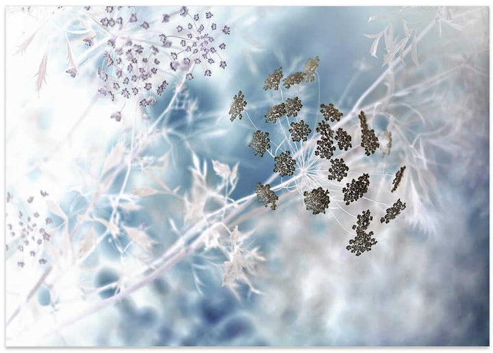 Ethereal Blue Botanicals - Floral Photographic Stretched Canvas Poster or Fine Art Print