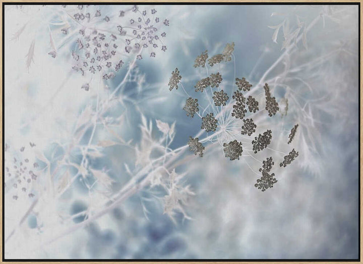 Ethereal Blue Botanicals - Floral Photographic Stretched Canvas Poster or Fine Art Print