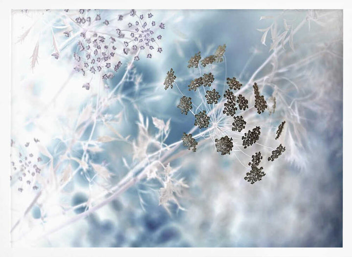 Ethereal Blue Botanicals - Floral Photographic Stretched Canvas Poster or Fine Art Print