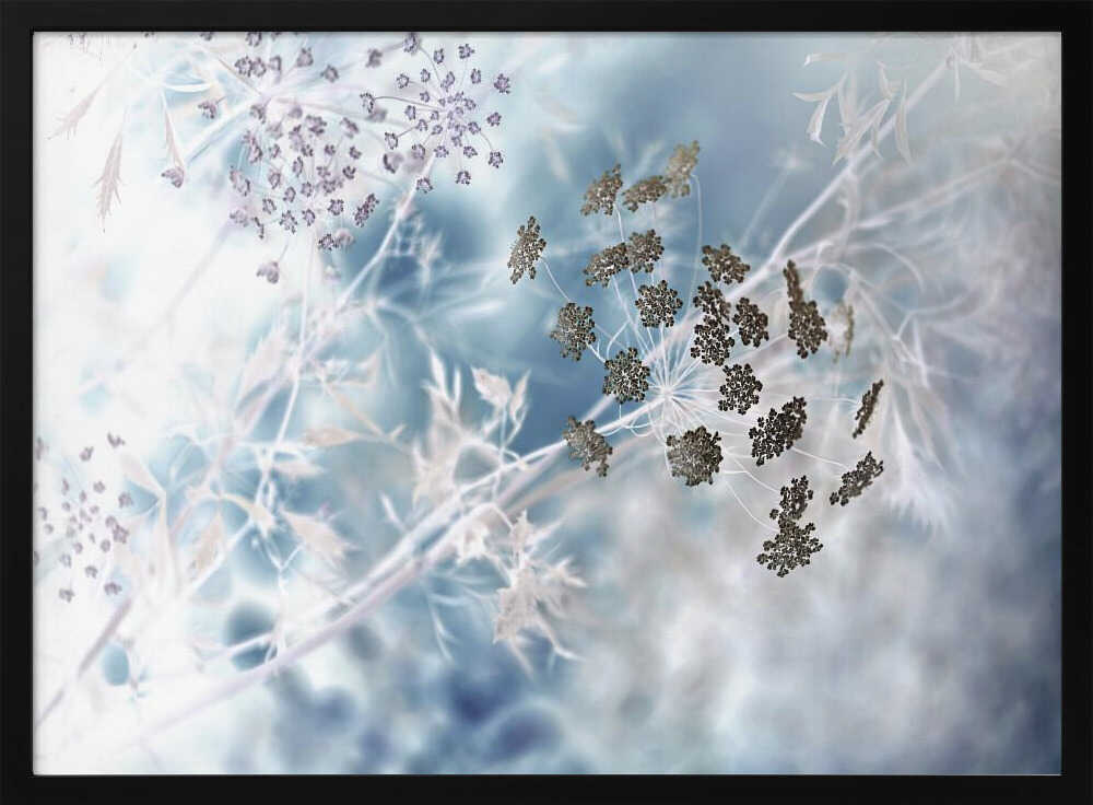 Ethereal Blue Botanicals - Floral Photographic Stretched Canvas Poster or Fine Art Print