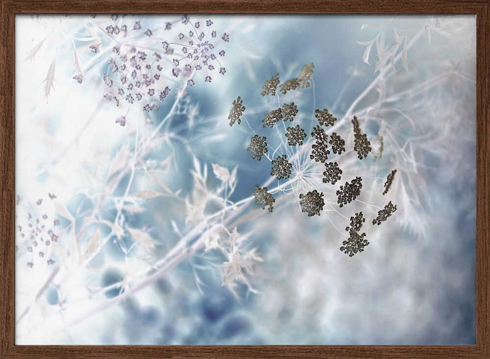 Ethereal Blue Botanicals - Floral Photographic Stretched Canvas Poster or Fine Art Print