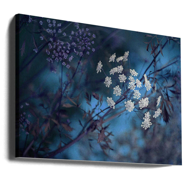 Ethereal Blue Flowers - Floral Photographic Stretched Canvas Poster or Fine Art Print