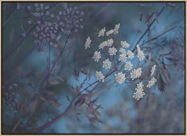 Ethereal Blue Flowers - Floral Photographic Stretched Canvas Poster or Fine Art Print