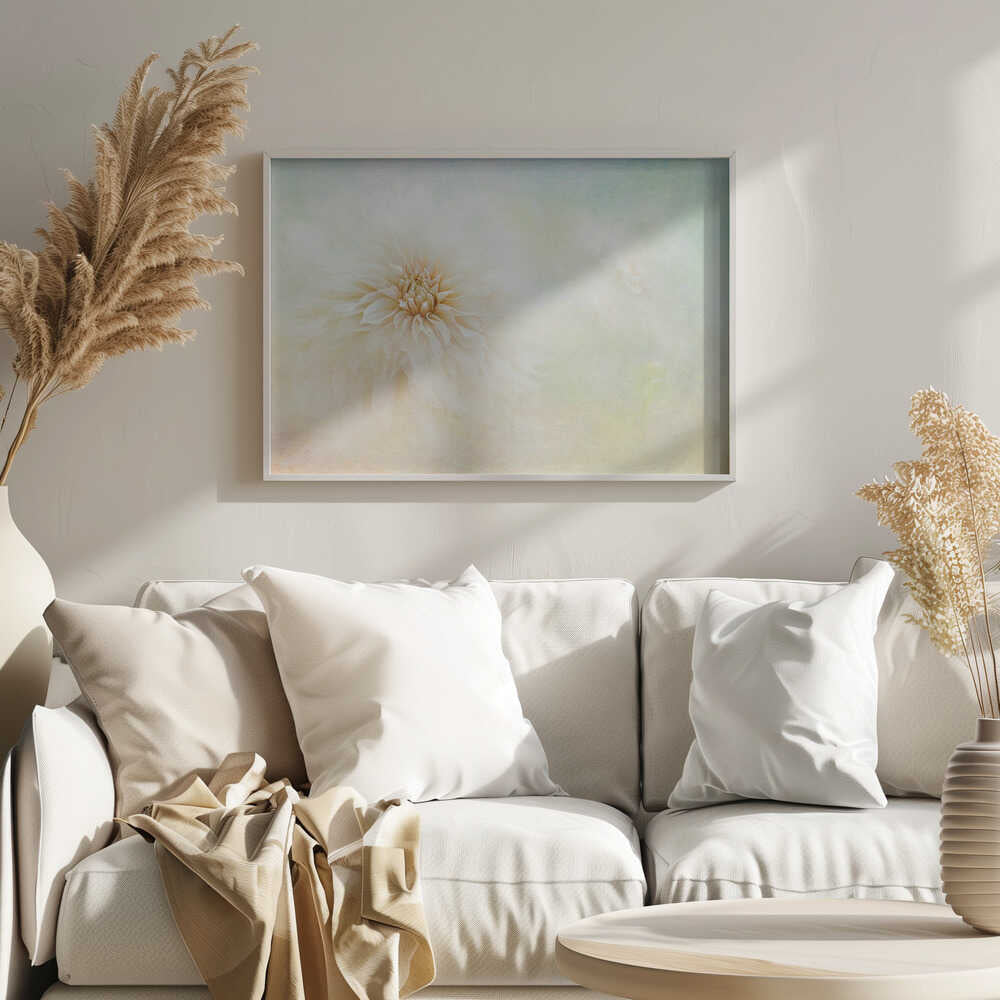 Ethereal Dahlia Bloom - Floral Photographic Stretched Canvas Poster or Fine Art Print