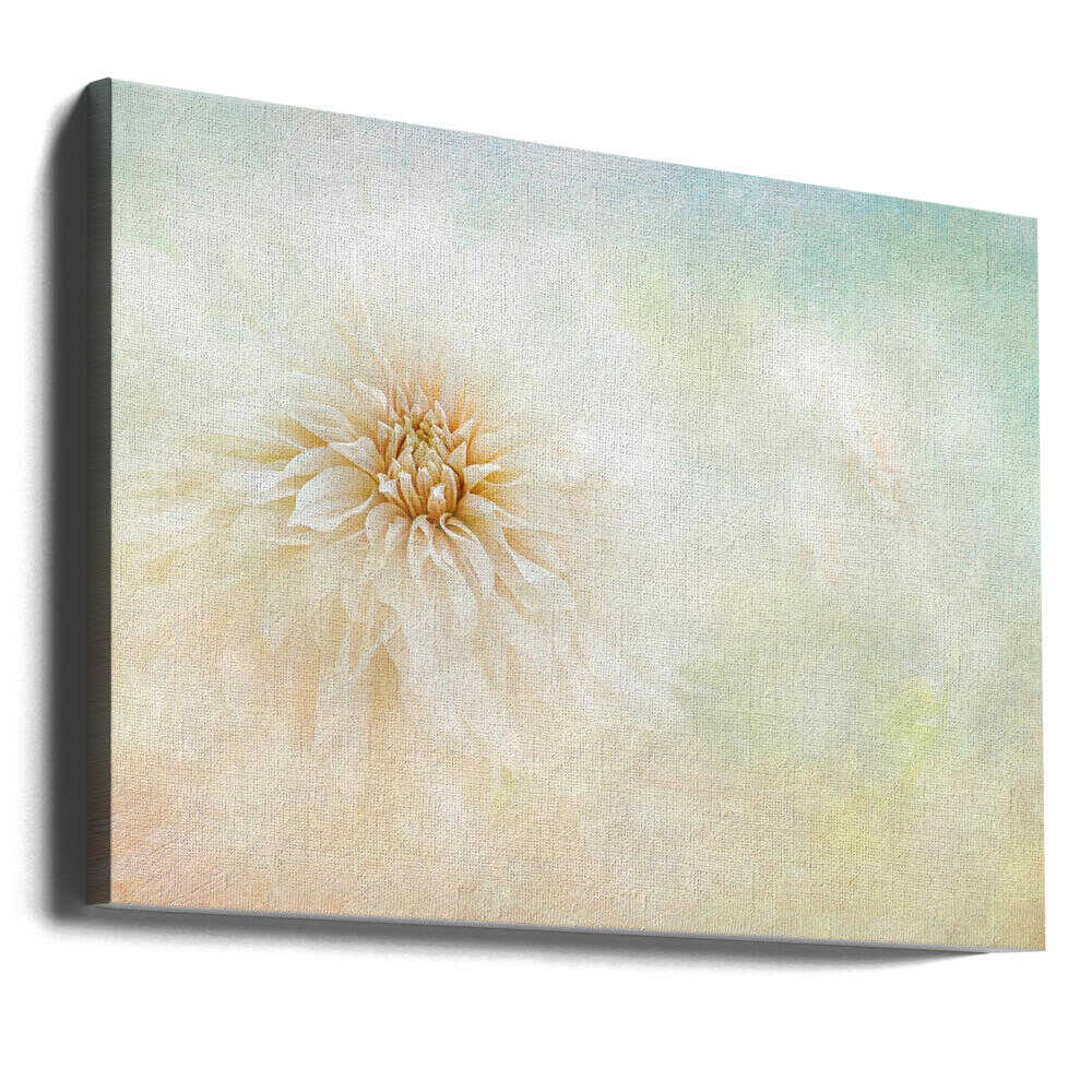 Ethereal Dahlia Bloom - Floral Photographic Stretched Canvas Poster or Fine Art Print