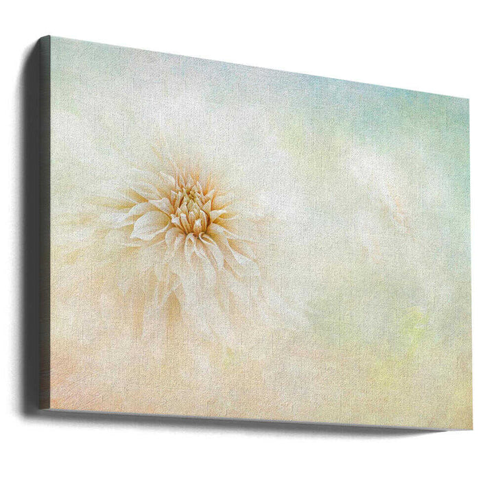 Ethereal Dahlia Bloom - Floral Photographic Stretched Canvas Poster or Fine Art Print