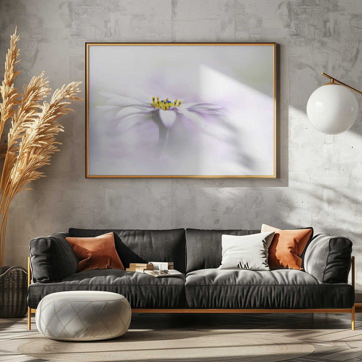Ethereal Daisy Flower - Floral Photographic Stretched Canvas Poster or Fine Art Print