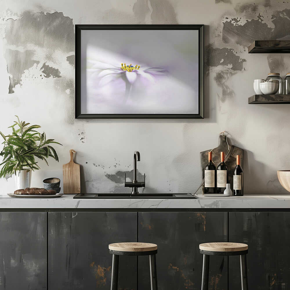 Ethereal Daisy Flower - Floral Photographic Stretched Canvas Poster or Fine Art Print