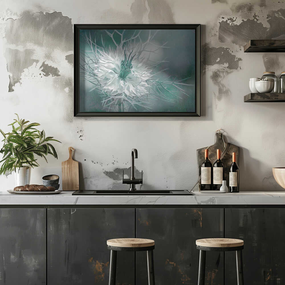 Ethereal Love-in-a-Mist Bloom - Floral Photographic Stretched Canvas Poster or Fine Art Print