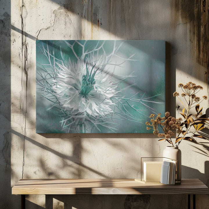 Ethereal Love-in-a-Mist Bloom - Floral Photographic Stretched Canvas Poster or Fine Art Print