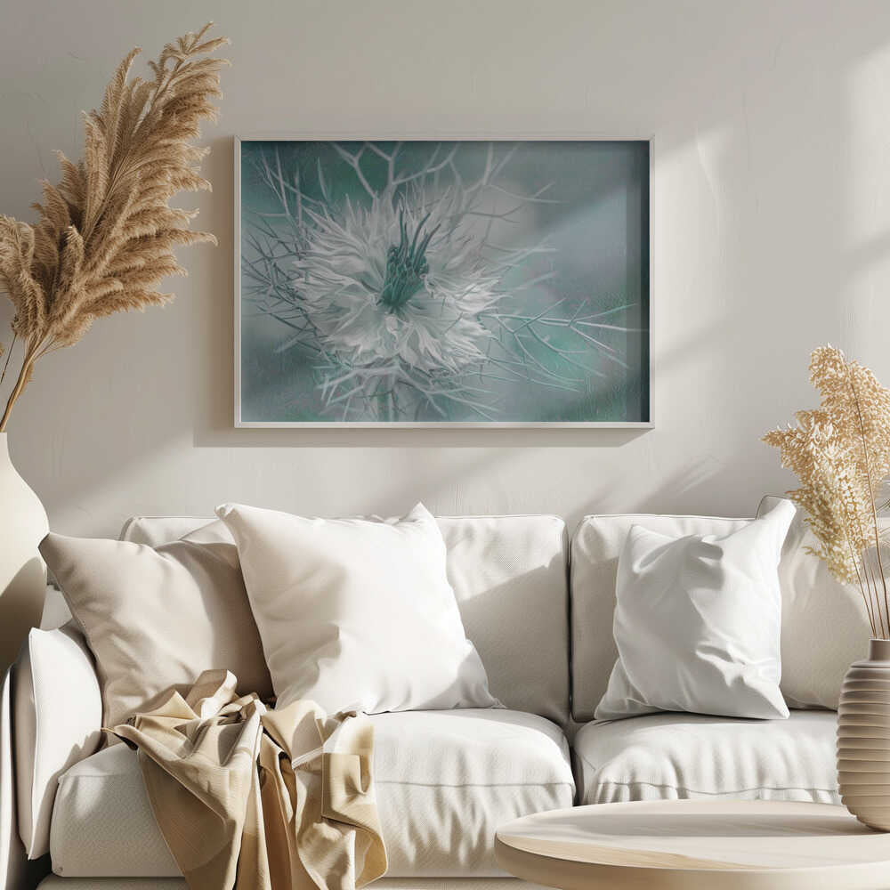 Ethereal Love-in-a-Mist Bloom - Floral Photographic Stretched Canvas Poster or Fine Art Print