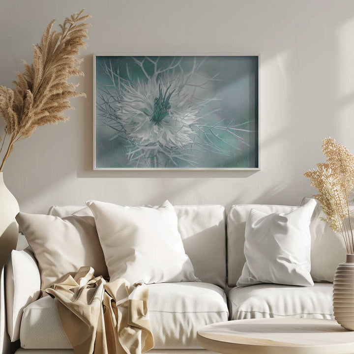Ethereal Love-in-a-Mist Bloom - Floral Photographic Stretched Canvas Poster or Fine Art Print