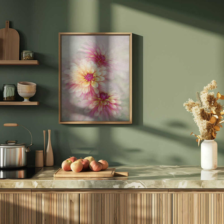 Ethereal Pink Dahlias - Floral Photographic Stretched Canvas Poster or Fine Art Print
