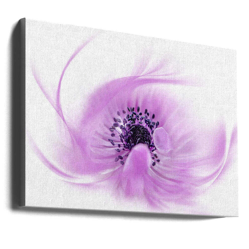 Ethereal Pink Flower - Floral Photographic Stretched Canvas Poster or Fine Art Print