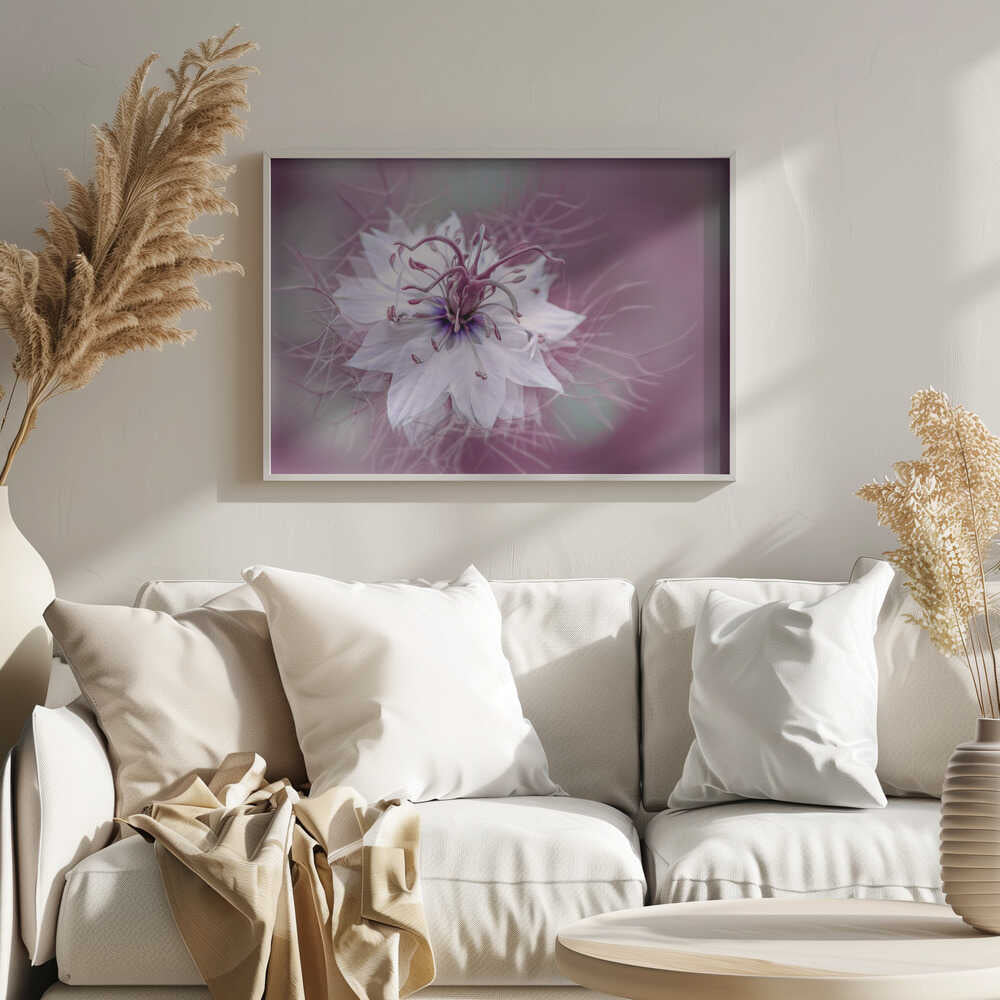 Ethereal Purple Bloom - Floral Photographic Stretched Canvas Poster or Fine Art Print