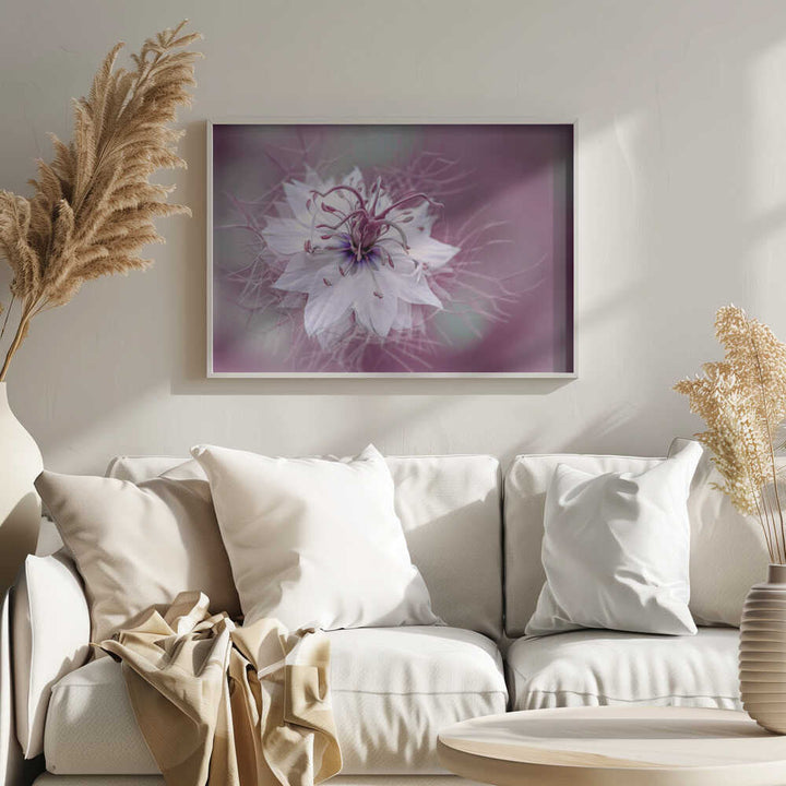 Ethereal Purple Bloom - Floral Photographic Stretched Canvas Poster or Fine Art Print