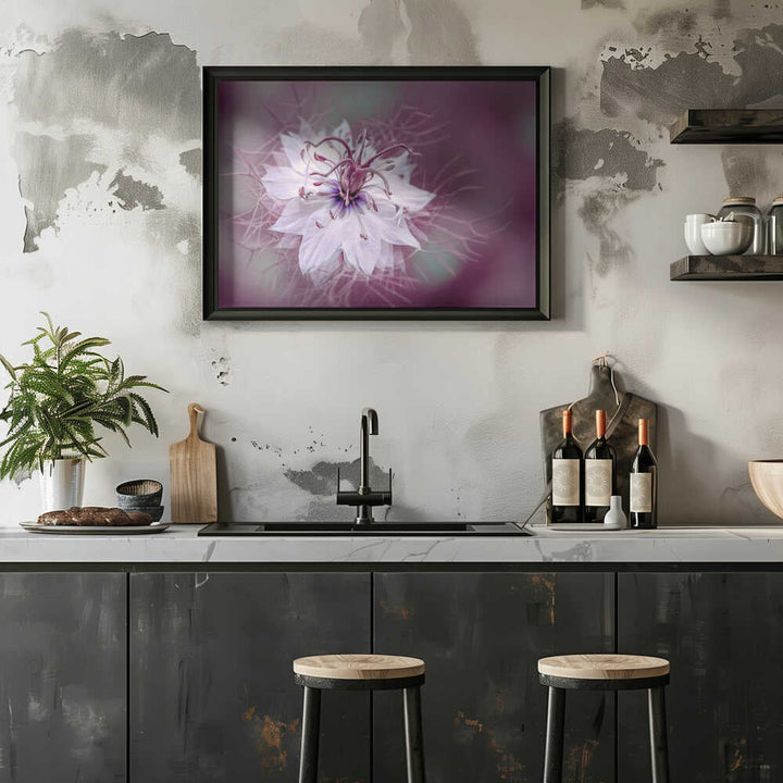 Ethereal Purple Bloom - Floral Photographic Stretched Canvas Poster or Fine Art Print