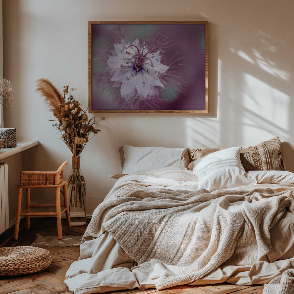 Ethereal Purple Bloom - Floral Photographic Stretched Canvas Poster or Fine Art Print