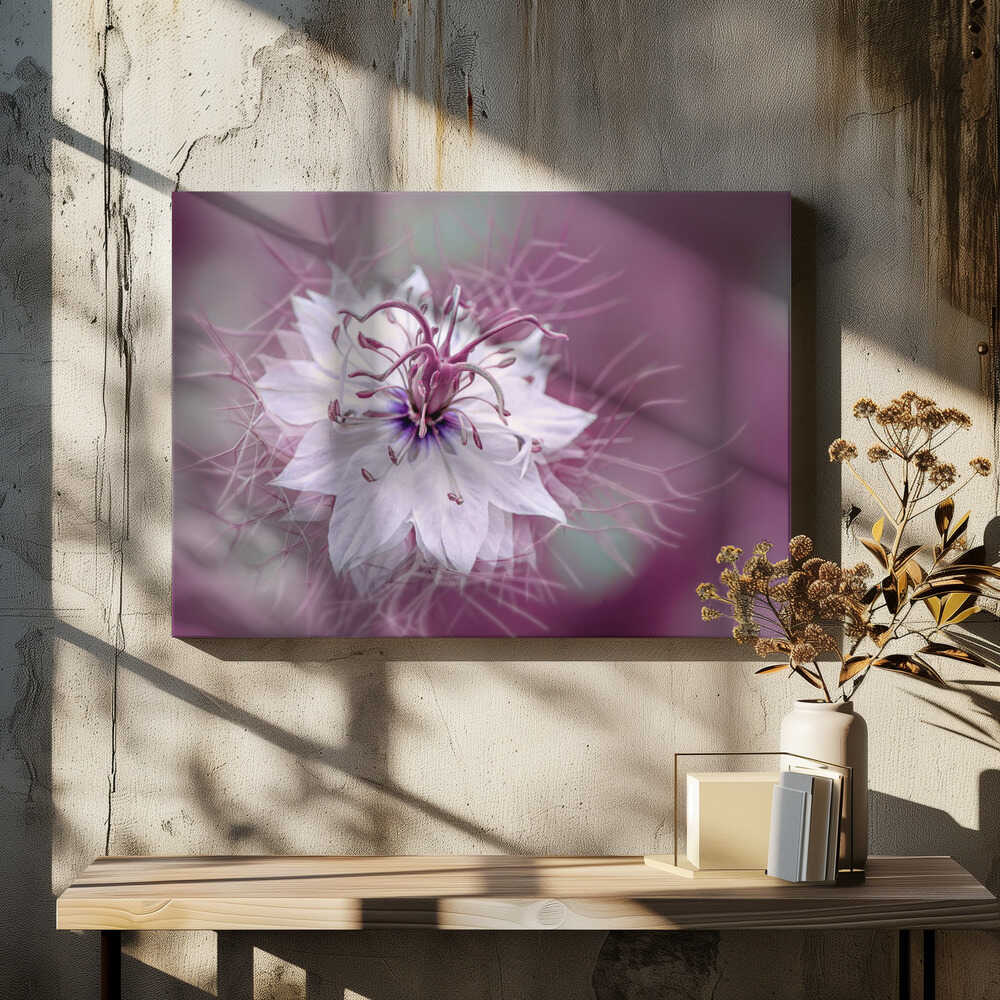 Ethereal Purple Bloom - Floral Photographic Stretched Canvas Poster or Fine Art Print