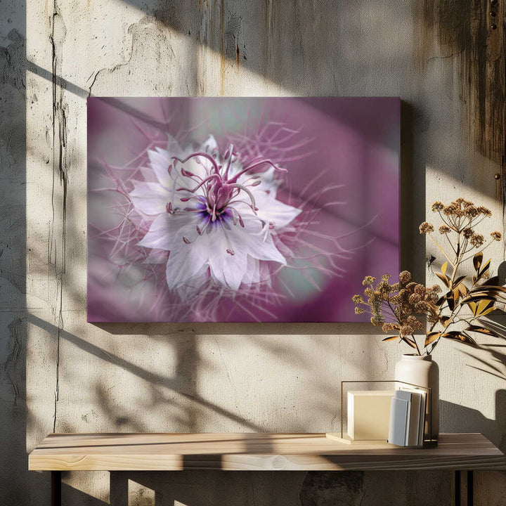 Ethereal Purple Bloom - Floral Photographic Stretched Canvas Poster or Fine Art Print