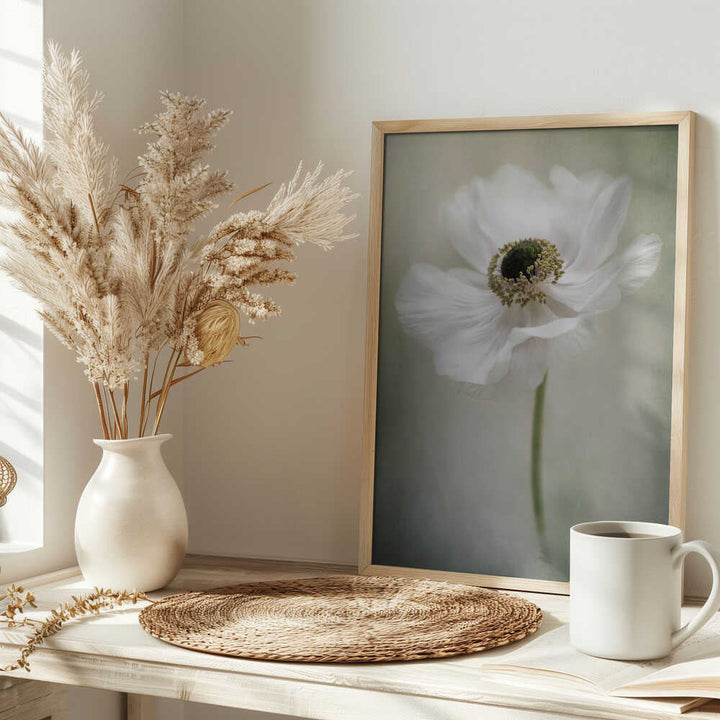 Ethereal White Anemone - Floral Photographic Stretched Canvas Poster or Fine Art Print
