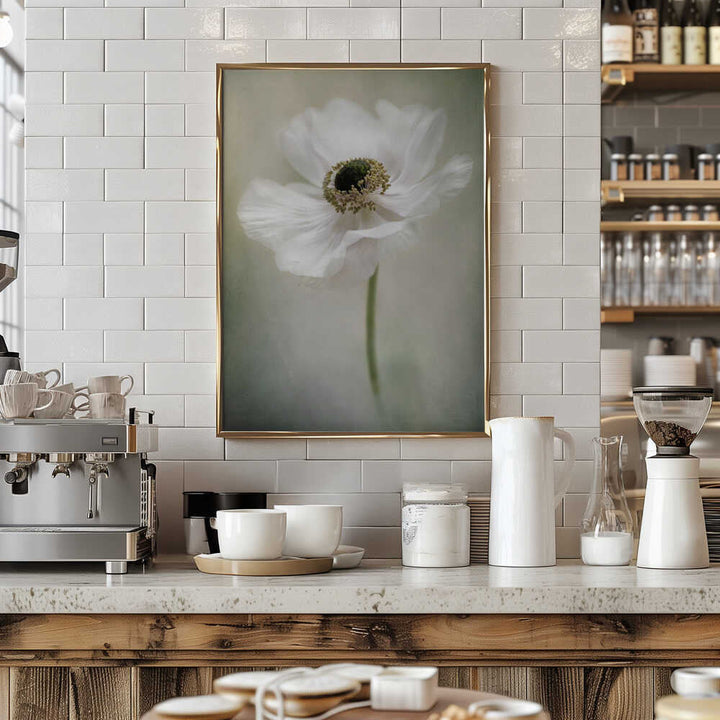 Ethereal White Anemone - Floral Photographic Stretched Canvas Poster or Fine Art Print