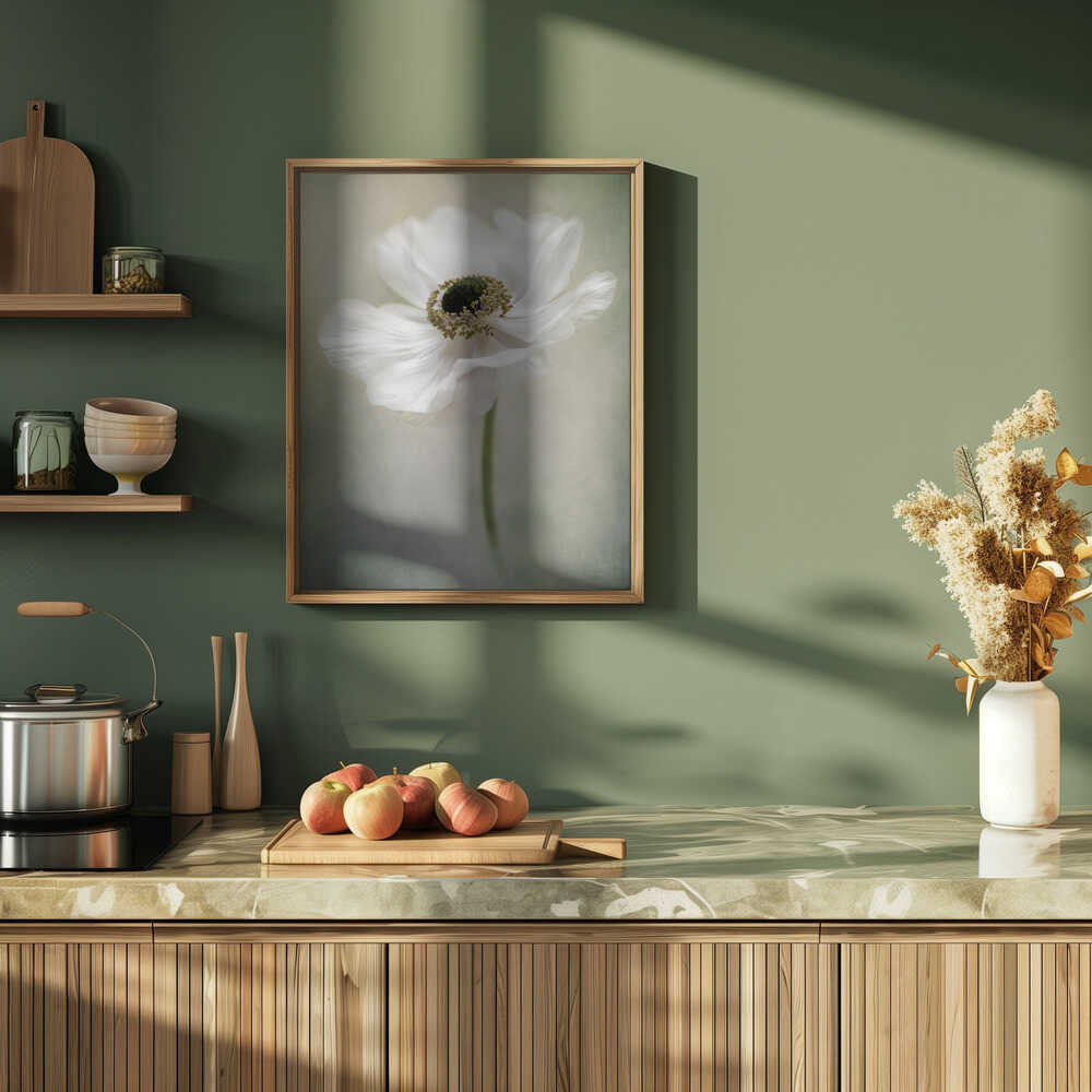Ethereal White Anemone - Floral Photographic Stretched Canvas Poster or Fine Art Print
