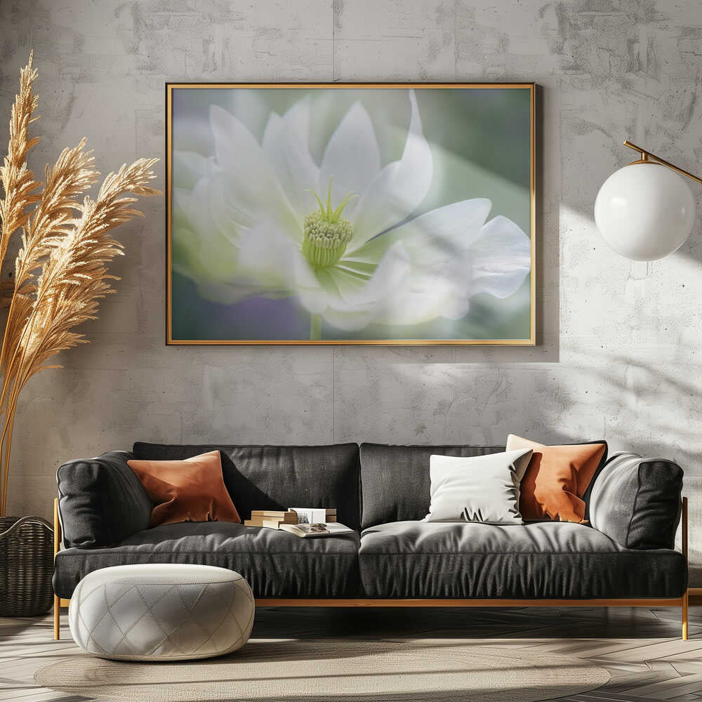 Ethereal White Bloom - Floral Photographic Stretched Canvas Poster or Fine Art Print