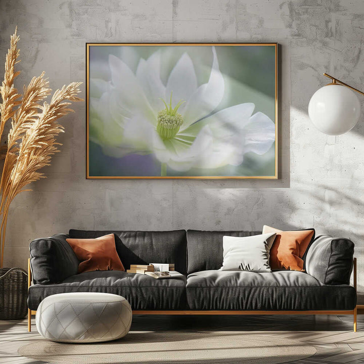 Ethereal White Bloom - Floral Photographic Stretched Canvas Poster or Fine Art Print