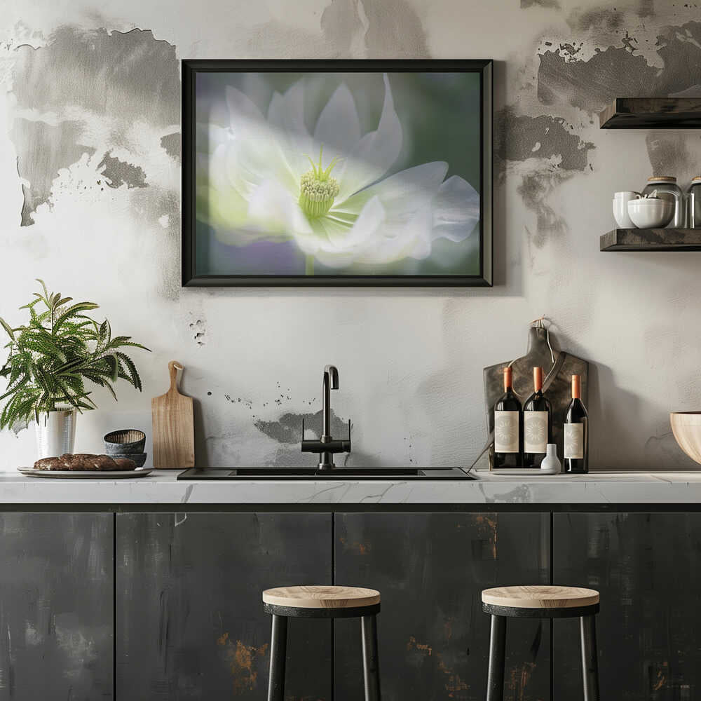 Ethereal White Bloom - Floral Photographic Stretched Canvas Poster or Fine Art Print