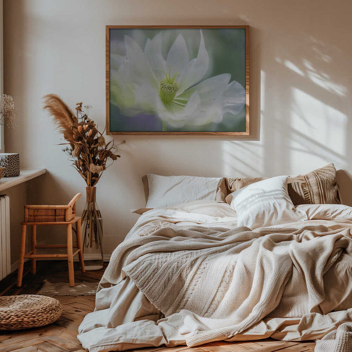 Ethereal White Bloom - Floral Photographic Stretched Canvas Poster or Fine Art Print